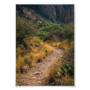 Have the courage to walk your own path photo print