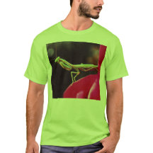 Have we been introduced?