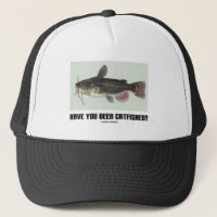 Have You Been Catfished? (Catfish Illustration)
