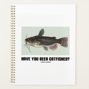 Have You Been Catfished? Catfish Query Humour Planner