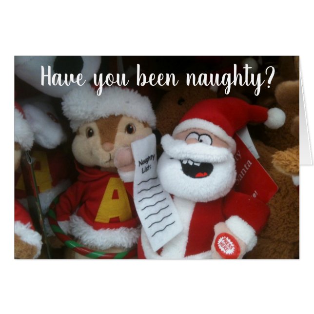 HAVE YOU BEEN NAUGHTY-**HOPE SO* FOR OUR CHRISTMAS (Front Horizontal)