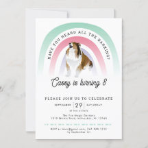 Have You Heard, Rainbow and Dog Birthday