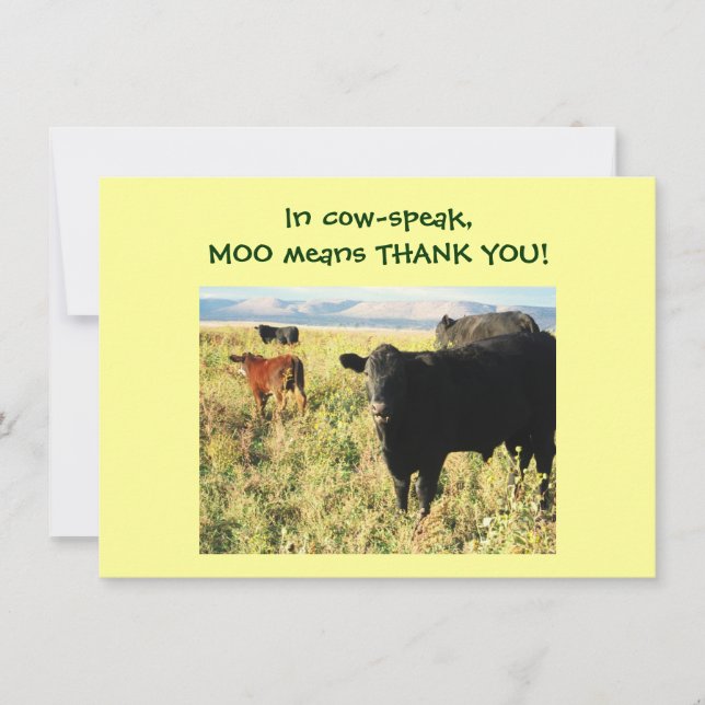 Have You Herd? Calves - Western Thanks Baby Gift Thank You Card (Front)