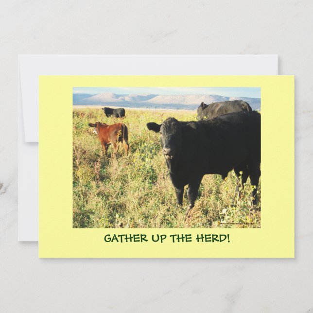 Have You Herd? Cattle Calves Western Party Shower Invitation (Front)