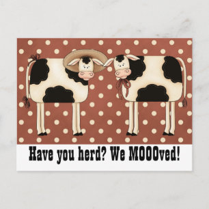 Have You Herd? We Moooved! Cute COW couple Postcard