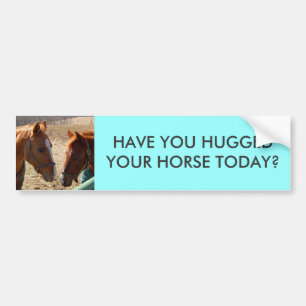 HAVE YOU HUGGED - bumper sticker -