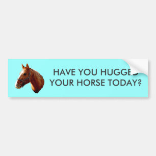 HAVE YOU HUGGED - bumper sticker -