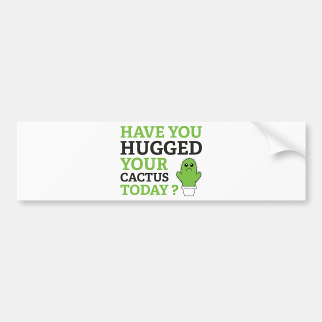 Have You Hugged Your Cactus Today? Bumper Sticker (Front)