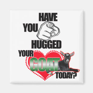 HAVE YOU HUGGED YOUR GOAT TODAY? MAGNET
