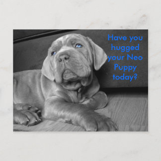 Have you hugged your Neo Puppy today? Postcard