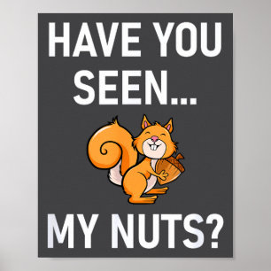 Have You Seen My Nuts, Squirrel Pun Funny, Jokes,  Poster