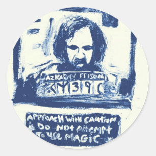 HAVE YOU SEEN THIS WIZARD BLUE CLASSIC ROUND STICKER