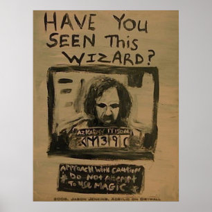 HAVE YOU SEEN THIS WIZARD POSTER