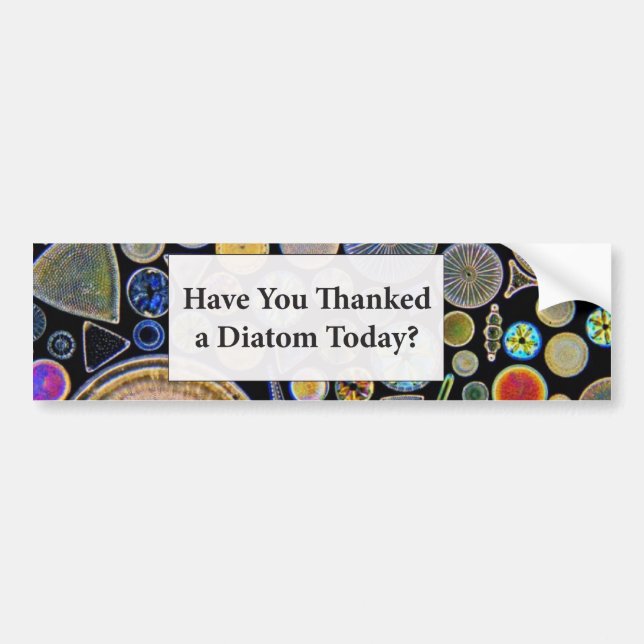 Have You Thanked a Diatom Background Bumper Sticker (Front)