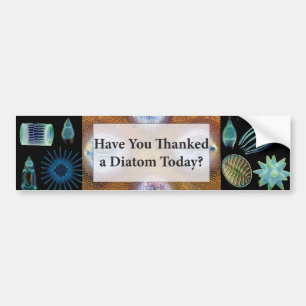 Have You Thanked a Diatom Bumper Sticker