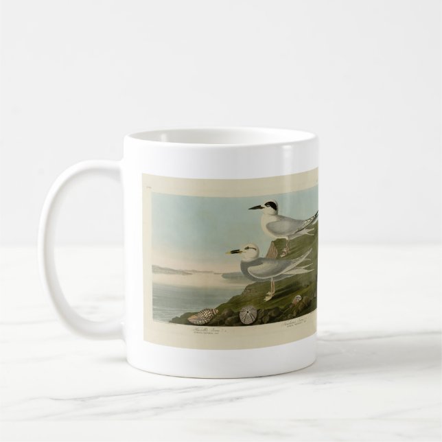 Havell's & Trudeau's Tern Audubon Birds of America Coffee Mug (Left)