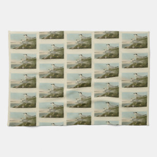 Havell's & Trudeau's Tern Audubon Birds of America Tea Towel
