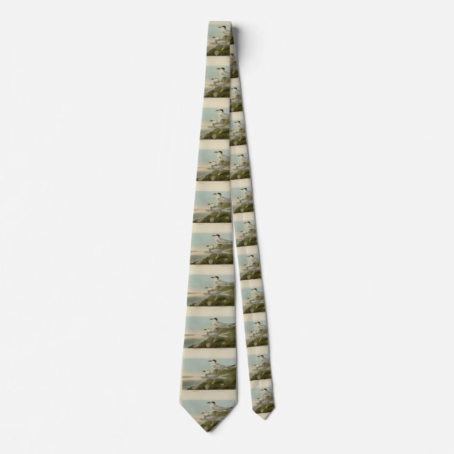 Havell's & Trudeau's Tern Audubon Birds of America Tie (Front)