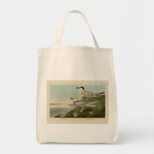Havell's & Trudeau's Tern Audubon Birds of America Tote Bag