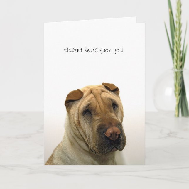 Haven't heard from you card (Front)