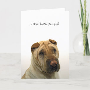 Haven't heard from you card