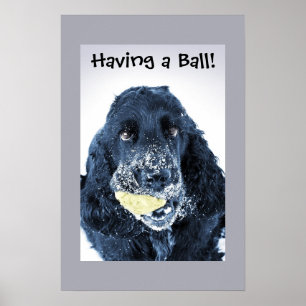Having a Ball! Poster