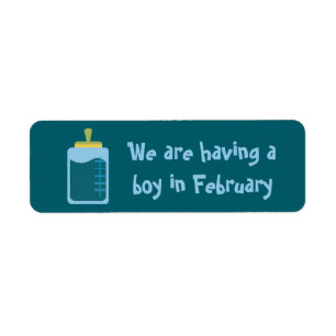 Having a boy in February stickers by dalDesignNZ