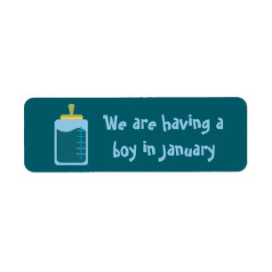 Having a boy in January stickers by dalDesignNZ