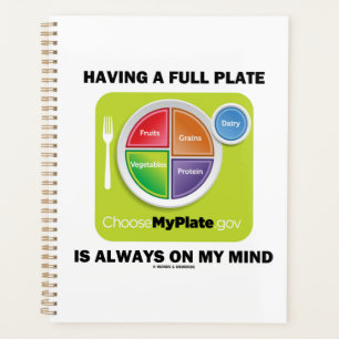 Having A Full Plate Always On My Mind Food Groups Planner