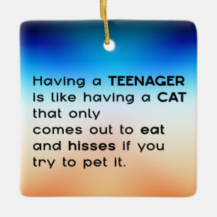 Having a Teenager... Ceramic Ornament
