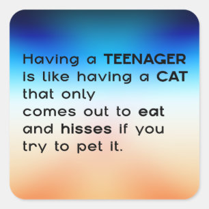 Having a Teenager...  Square Sticker
