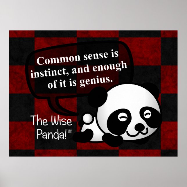 Having common sense makes you a genius poster (Front)