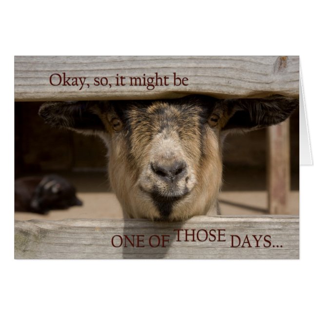 Having One of Those Days (Front Horizontal)