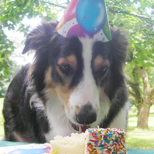 "Having Your Cake and Eating it Too!" Thank You Card (Creator Uploaded)