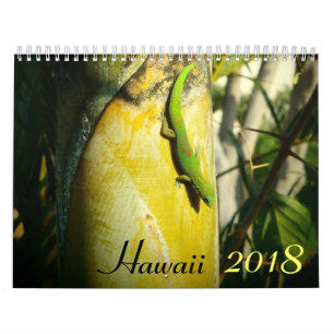 Hawaii 2018 scenic destinations calendar