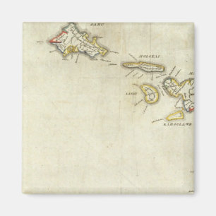 Hawaii 3 magnet
