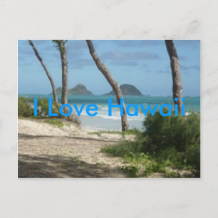 HAWAII ALOHA COLLECTION POSTCARD