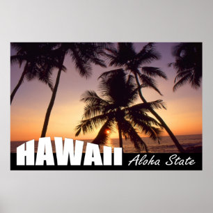 Hawaii Aloha State USA Travel Poster