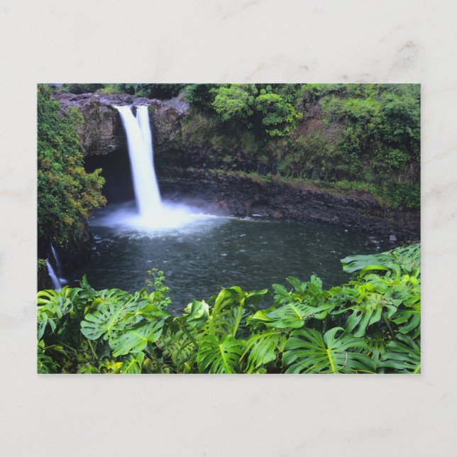 Hawaii, Big Island, Hilo, Rainbow Falls, Lush Postcard (Front)