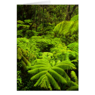 Hawaii, Big Island, Lush tropical greenery in