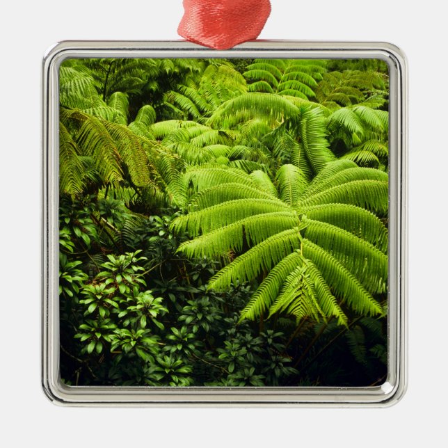 Hawaii, Big Island, Lush tropical greenery in 2 Metal Tree Decoration (Front)