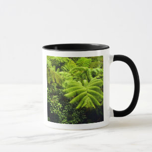 Hawaii, Big Island, Lush tropical greenery in 2 Mug