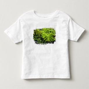 Hawaii, Big Island, Lush tropical greenery in 2 Toddler T-Shirt