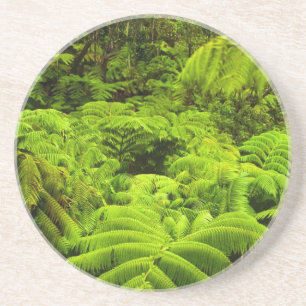 Hawaii, Big Island, Lush tropical greenery in Coaster