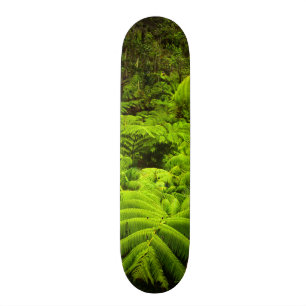 Hawaii, Big Island, Lush tropical greenery in Skateboard
