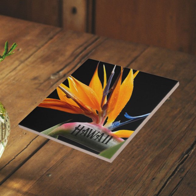 Hawaii Bird of Paradise Plant Flower Ceramic Tile (In Situ)