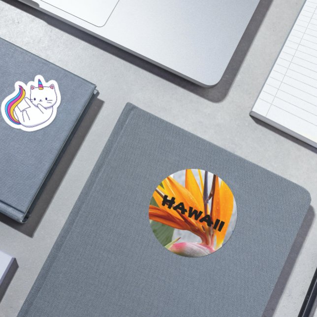 Hawaii Bird of Paradise Plant Flower Classic Round Sticker (In Situ Book)