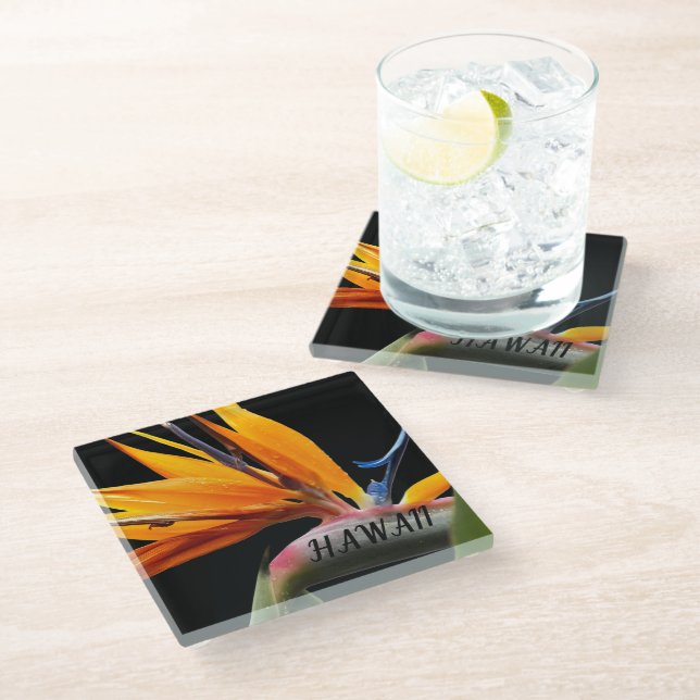 Hawaii Bird of Paradise Plant Flower Glass Coaster (Angled)