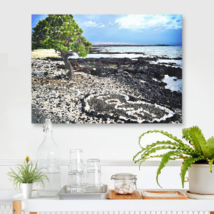 Hawaii Black Sand Beach Coral Love Heart Photo Canvas Print