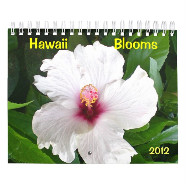 Hawaii Blooms with Flowers Calendar (Cover)